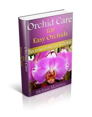 Easy Orchids