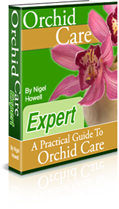 Orchid Care Expert book