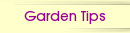 Garden Tips