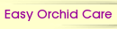 Easy Orchid Care
