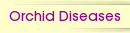 Orchid Diseases